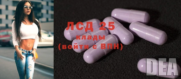 сатива Арсеньев