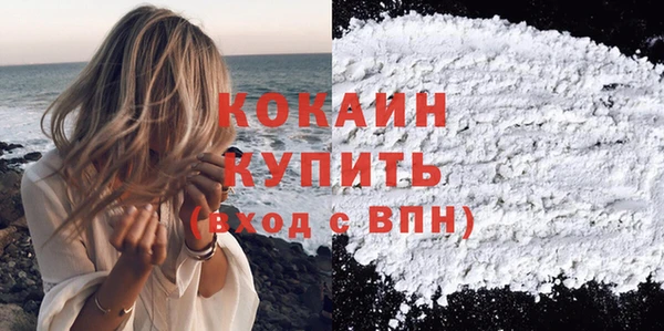 сатива Арсеньев