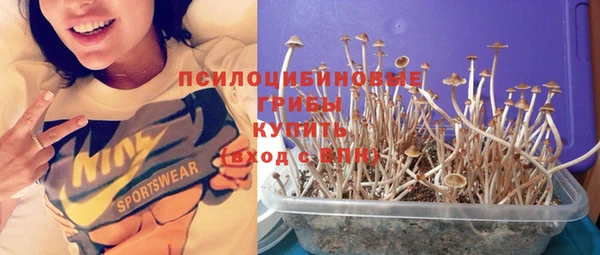 мяу мяу мука Аркадак