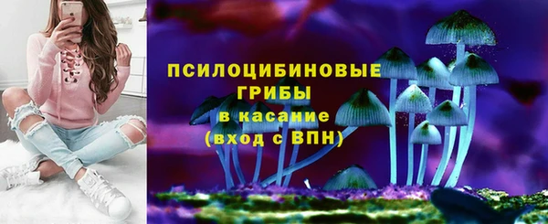 сатива Арсеньев