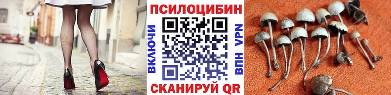 Галлюциногенные грибы Magic Shrooms  Купить закладки  Краснознаменск 